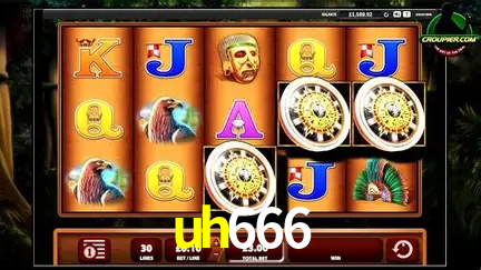 VIP Casino uh666